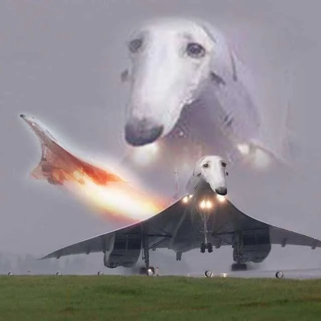 The snoot droops.