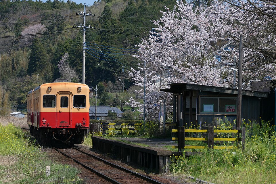 A KiHa 200-series approaching a quiet station. No one is on the platform. Cherry trees bloom in the background.