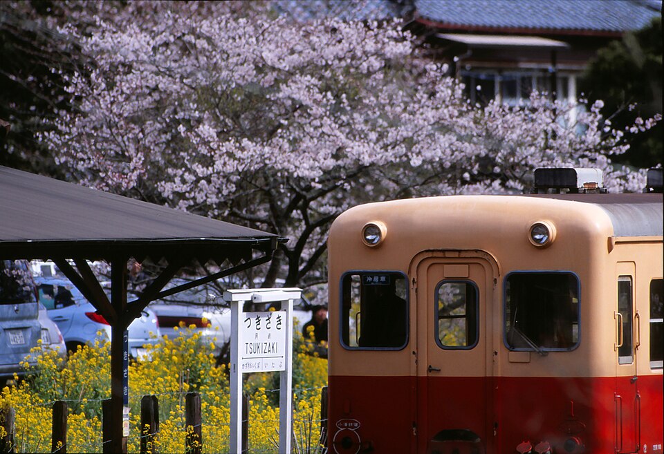 KiHa 200 arriving at a station. The station sign says "Tsukizaki". Rapeseed flowers bloom around the platform.